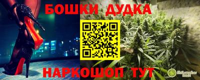 крисы Кунгур