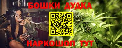 крисы Кунгур