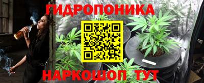 крисы Кунгур