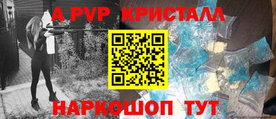 крисы Кунгур